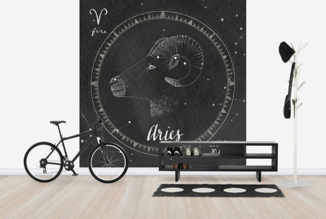 PHOTOWALL / Night Sky Aires (e25614)