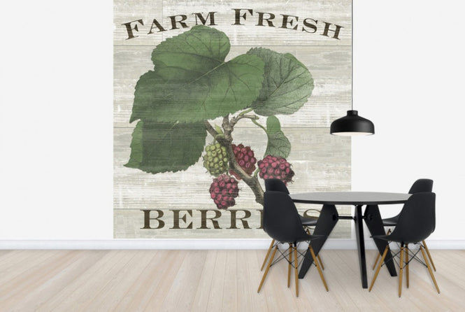 PHOTOWALL / Farm Fresh Raspberries (e25641)