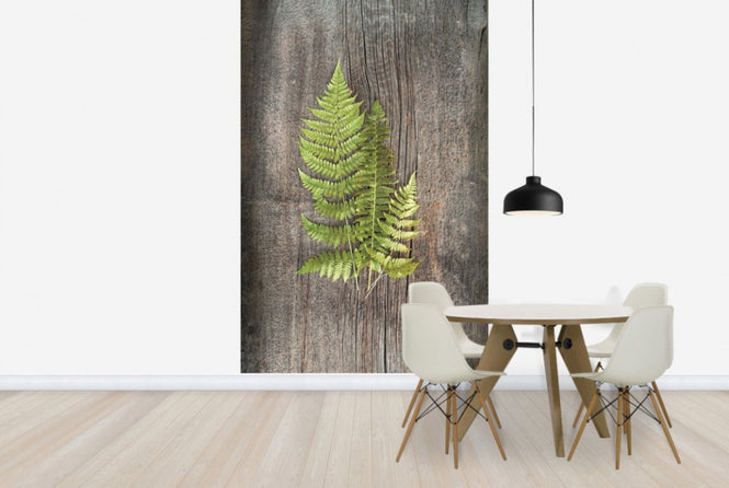 PHOTOWALL / Woodland Fern (e25656)
