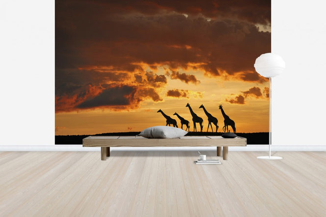 PHOTOWALL / Five Giraffes (e29616)