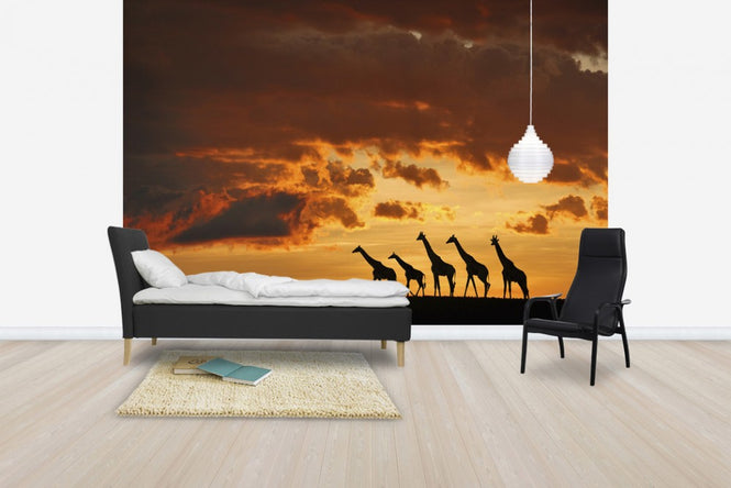 PHOTOWALL / Five Giraffes (e29616)