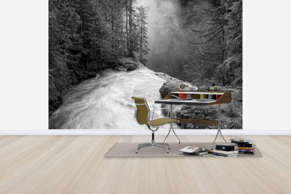 Zoom
