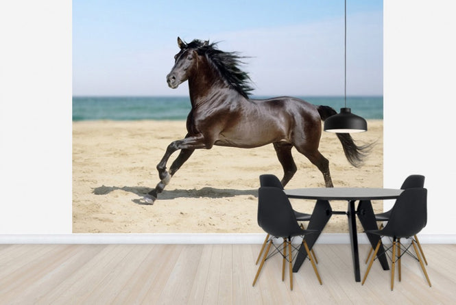 PHOTOWALL / Beach Horse (e29575)
