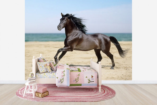 PHOTOWALL / Beach Horse (e29575)