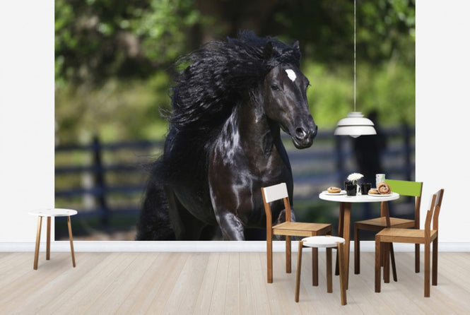 PHOTOWALL / Horse in the Wind (e29583)