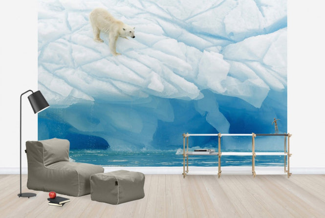 PHOTOWALL / Leaning Polar Bear (e29652)