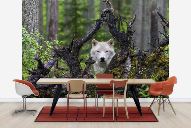 PHOTOWALL / Wolf (e29683)