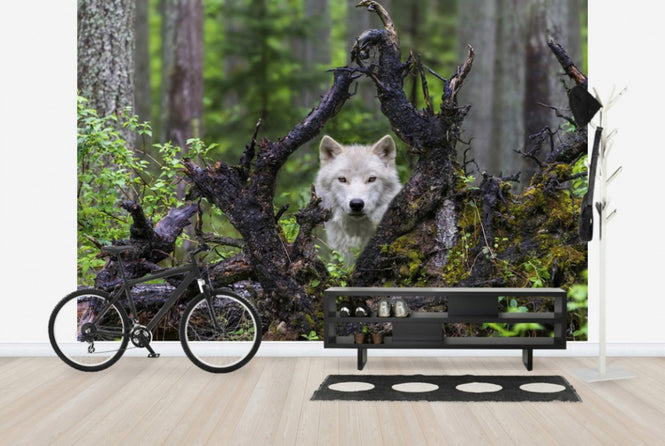 PHOTOWALL / Wolf (e29683)