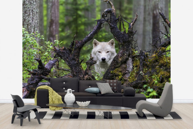 PHOTOWALL / Wolf (e29683)