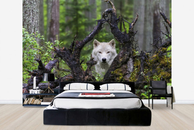 PHOTOWALL / Wolf (e29683)