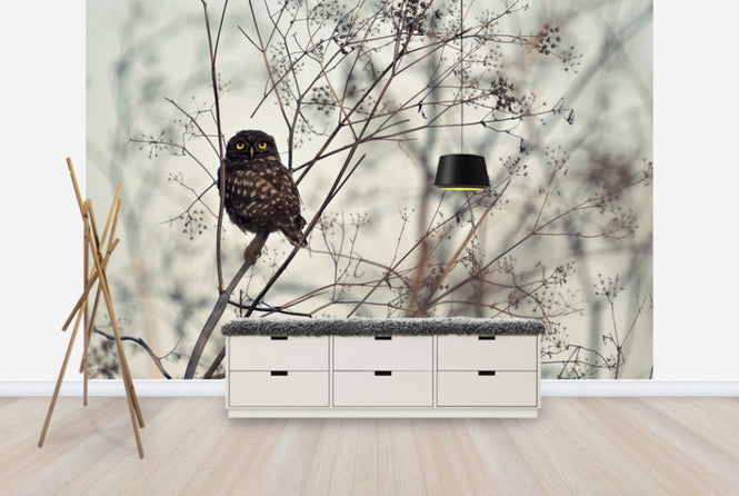 PHOTOWALL / Look at Me (e29901)