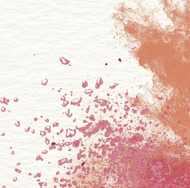 PHOTOWALL / Make Your Own Rainbow (e25886)