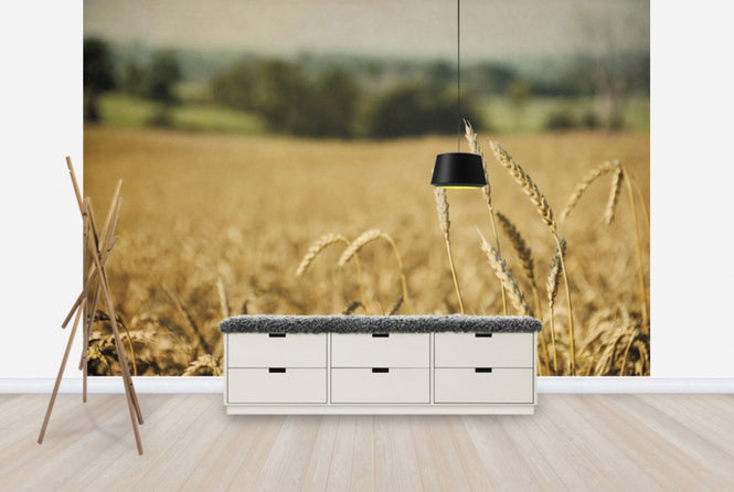 PHOTOWALL / Blissful Country (e25905)