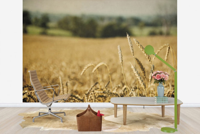 PHOTOWALL / Blissful Country (e25905)