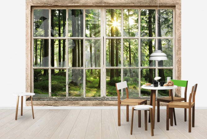 PHOTOWALL / Sunset in Forest Through Broken Window (e30160)