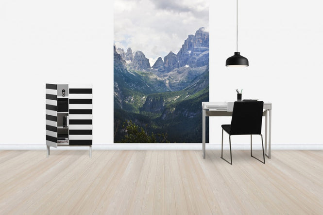 PHOTOWALL / Madonna di Campiglio, Italy, Europe (e40446)