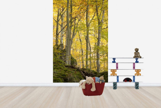 PHOTOWALL / Autumn Aspen Tree (e40484)
