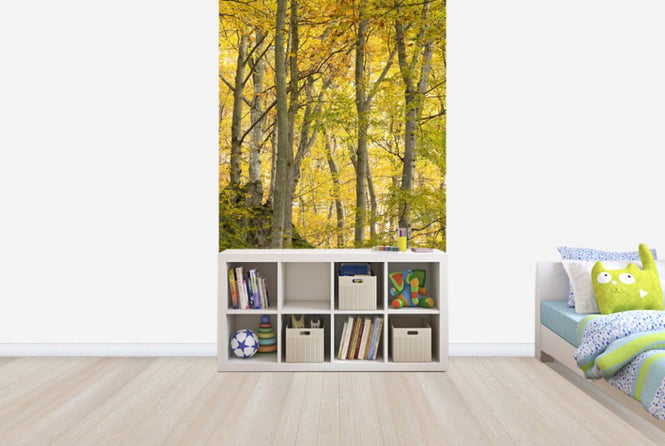 PHOTOWALL / Autumn Aspen Tree (e40484)