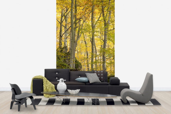 PHOTOWALL / Autumn Aspen Tree (e40484)