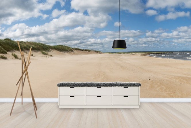 PHOTOWALL / Vejbystrand in Skåne, Sweden (e40460)