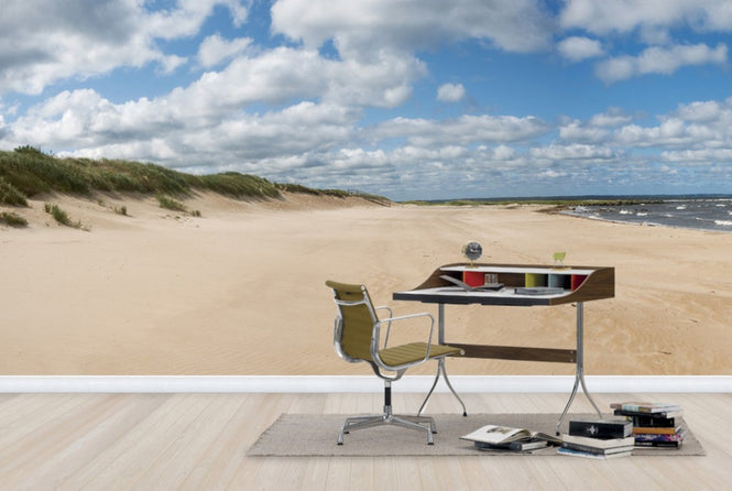 PHOTOWALL / Vejbystrand in Skåne, Sweden (e40460)