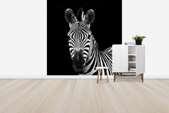 PHOTOWALL / Zebra II Square (e30299)