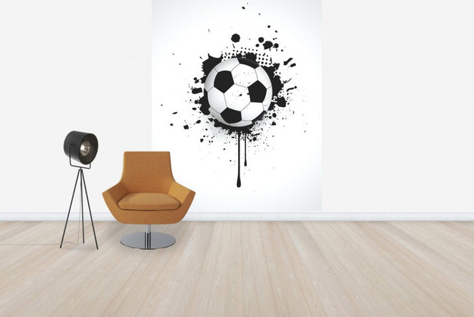 PHOTOWALL / Ball Through Wall (e30304)