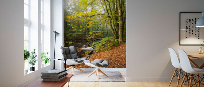 PHOTOWALL / Swedish Beech Forest II (e40491)