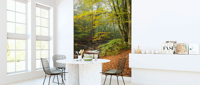 PHOTOWALL / Swedish Beech Forest II (e40491)