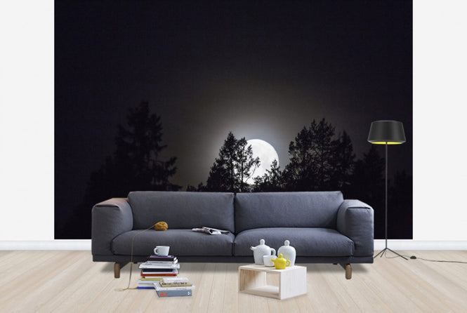 PHOTOWALL / Moonlight over Medelpad, Sweden, Europe (e40465)