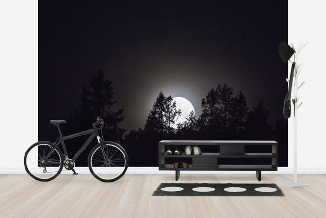 PHOTOWALL / Moonlight over Medelpad, Sweden, Europe (e40465)