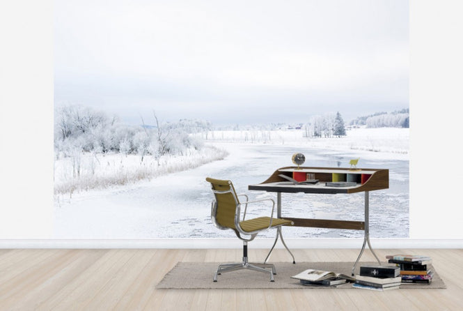 PHOTOWALL / Svartån in Winter, Sweden (e40474)