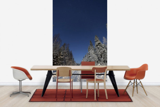 PHOTOWALL / Winter Landscape in Mora, Sweden (e40511)