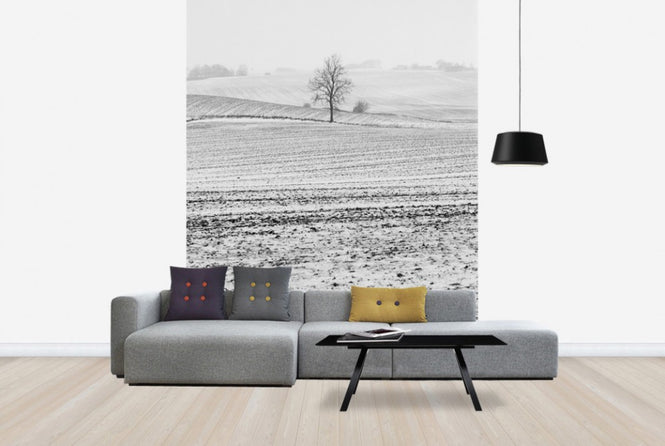 PHOTOWALL / Fields in Anderslöv, Sweden (e40514)