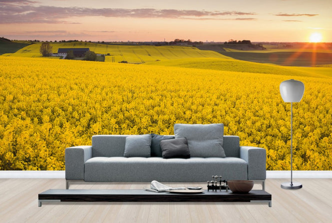 PHOTOWALL / Fields of Klågerup, Sweden (e40515)