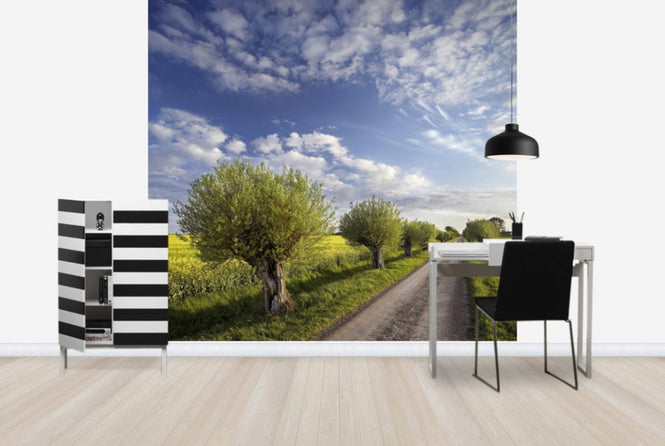 PHOTOWALL / Willow in Skane, Sweden (e40564)
