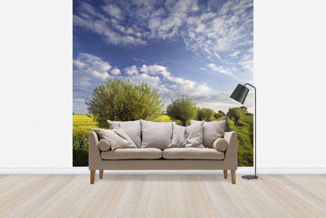 PHOTOWALL / Willow in Skane, Sweden (e40564)