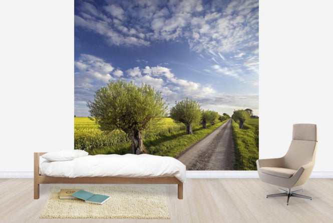 PHOTOWALL / Willow in Skane, Sweden (e40564)