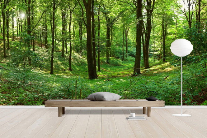 PHOTOWALL / Panorama forest (e40014)