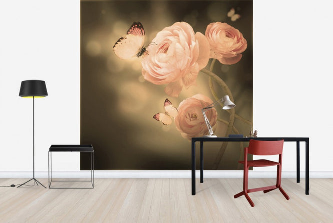 PHOTOWALL / Apricot Kiss (e40588)