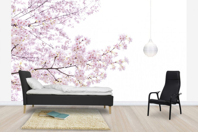 PHOTOWALL / Divine Cherry Blossoms (e40595)