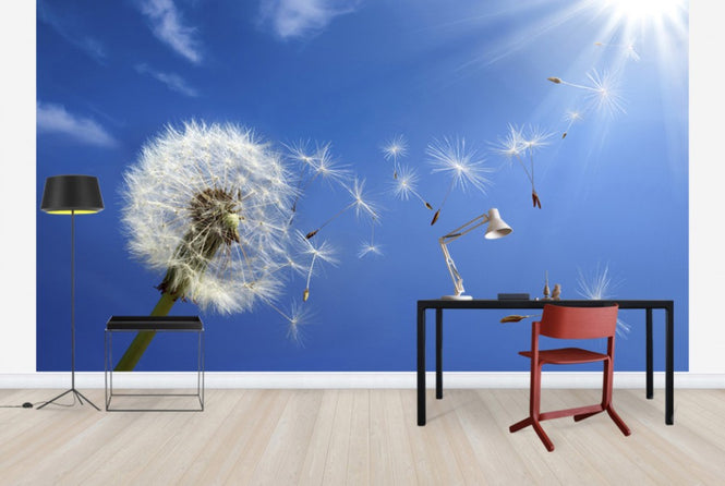 PHOTOWALL / Dreams of Dandelion (e40596)