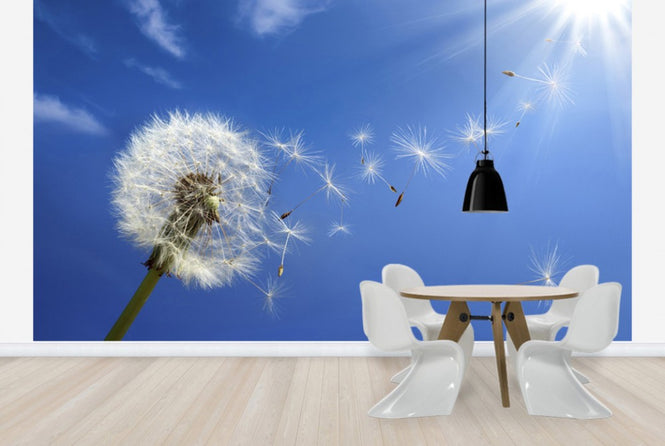 PHOTOWALL / Dreams of Dandelion (e40596)