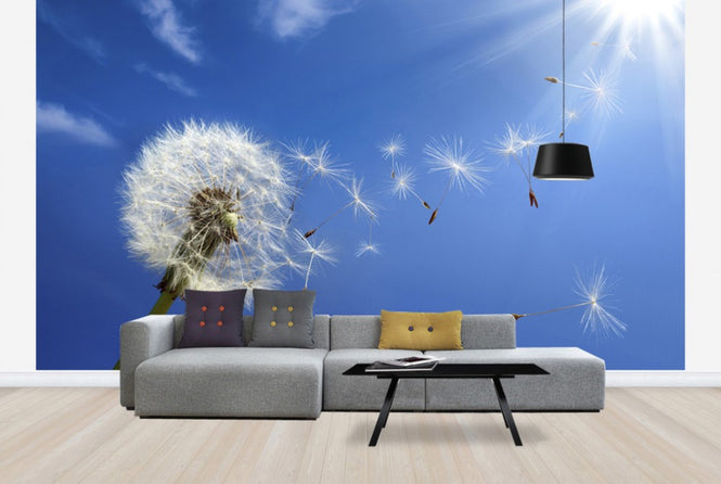 PHOTOWALL / Dreams of Dandelion (e40596)