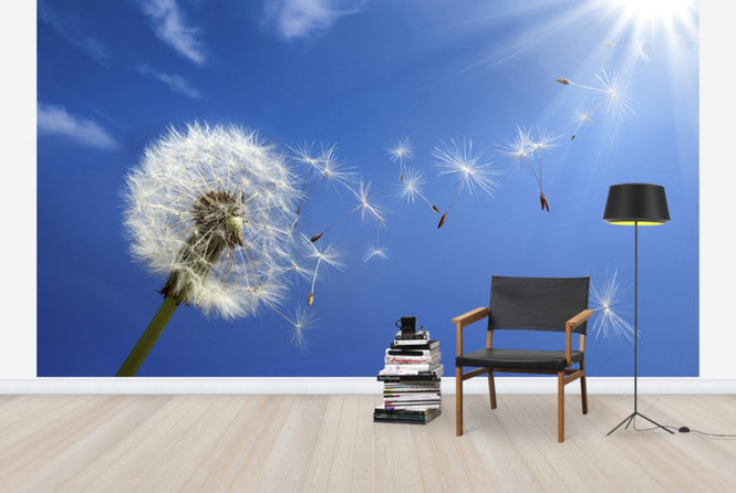 PHOTOWALL / Dreams of Dandelion (e40596)