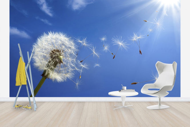 PHOTOWALL / Dreams of Dandelion (e40596)