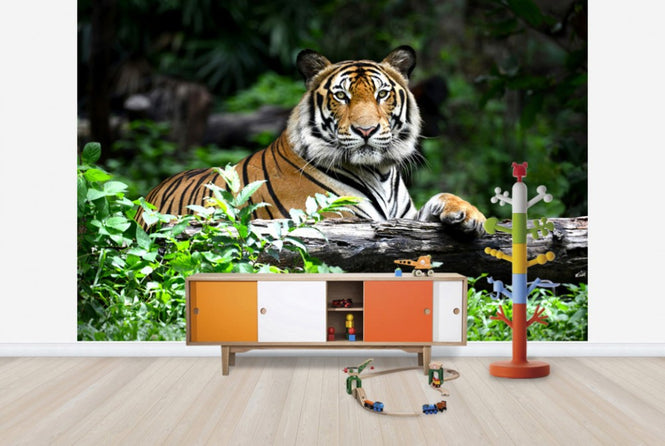 PHOTOWALL / Bengal Tiger (e40704)