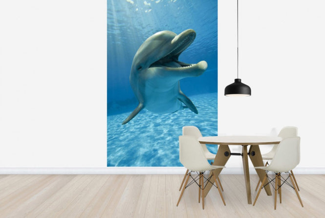PHOTOWALL / Encounter with Dolphin (e40705)