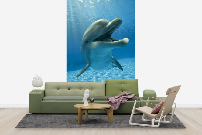 PHOTOWALL / Encounter with Dolphin (e40705)