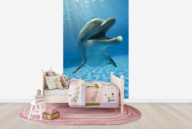 PHOTOWALL / Encounter with Dolphin (e40705)